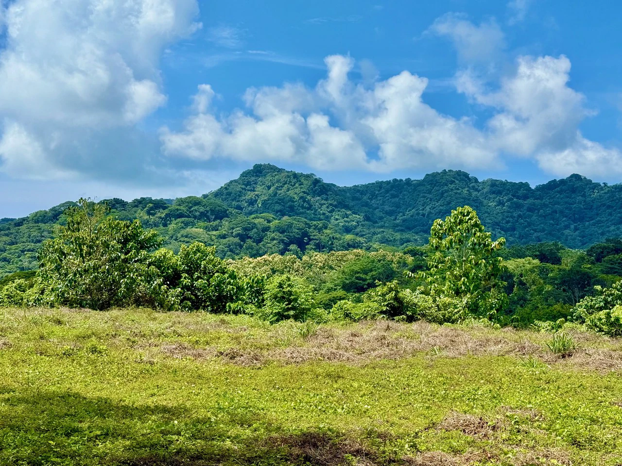 Ocean & Mountain View Property Near Santa Teresa with Impressive Building Platform Surrounded by Jungle: One of a Kind Lot Between Mal Pais and Cabuya - Gallery image 4