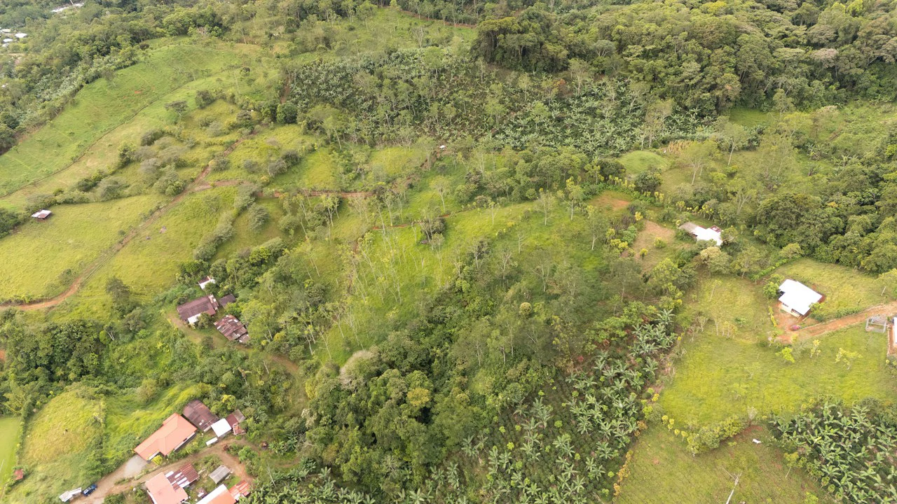 Se vende 6acres en San Antonio de Rivas, Pérez Zeledón: Countryside Home Construction Site For Sale in San Isidro del General - Gallery image 18