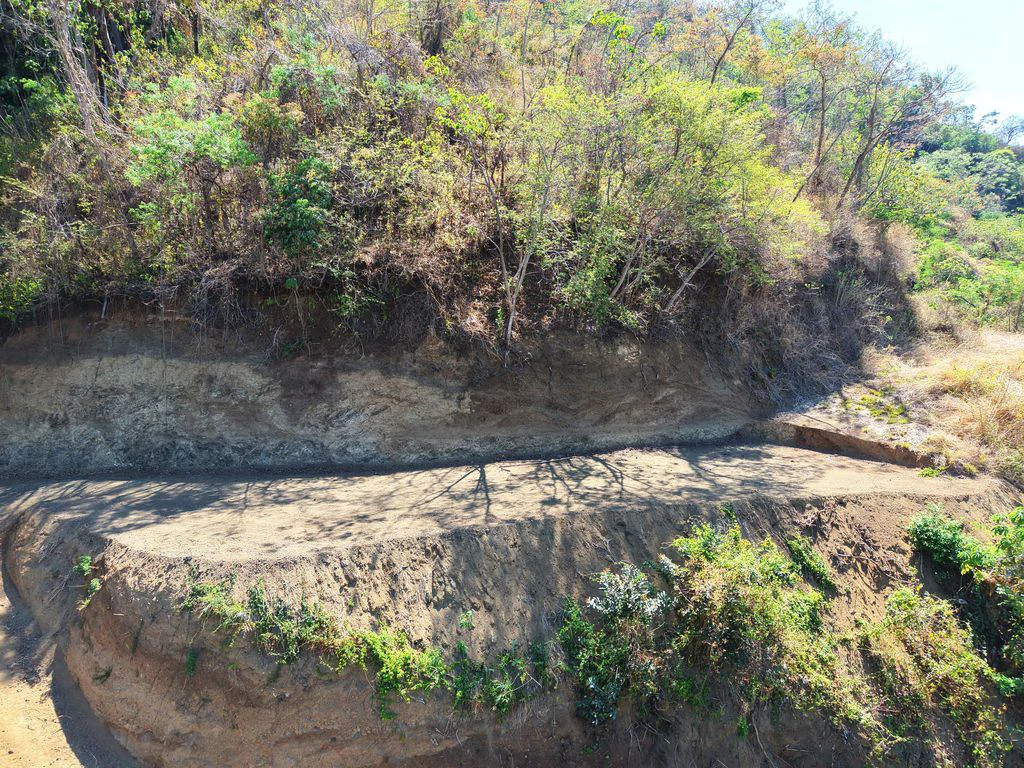 Lote 17 La Montaña: Stunning 1.86 Acres Ocean And Mountain View Land - Gallery image 4