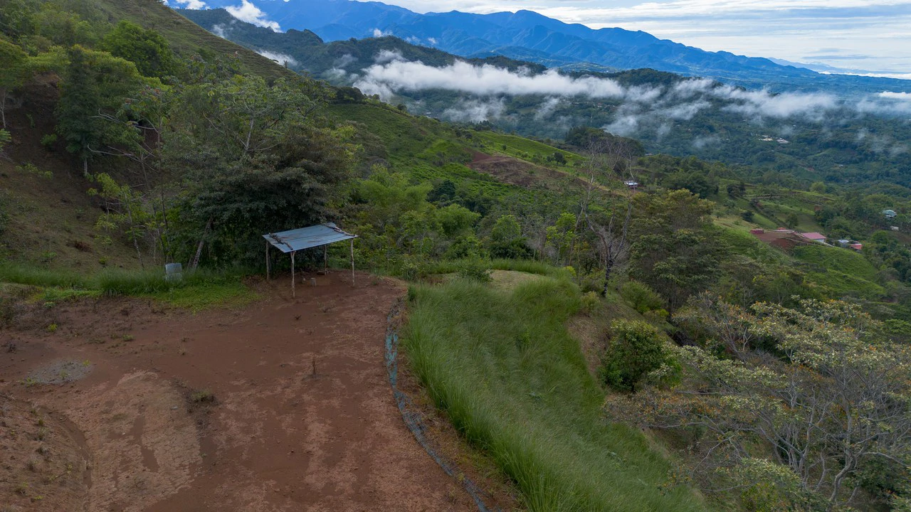 10.21 Acres with Views & Plantels – Pérez Zeledón - Gallery image 6