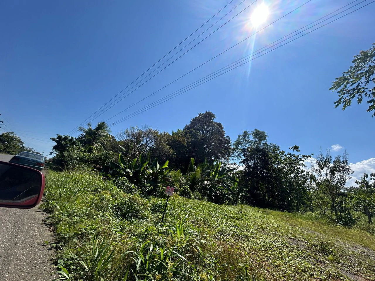 Small and Accesible Main Road Piece of Jungle View land: Small and Accesible Main Road Piece of Jungle View land