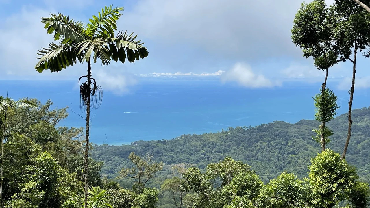 Los Nenes: Mountain Home Construction Site For Sale in Uvita - Gallery image 10