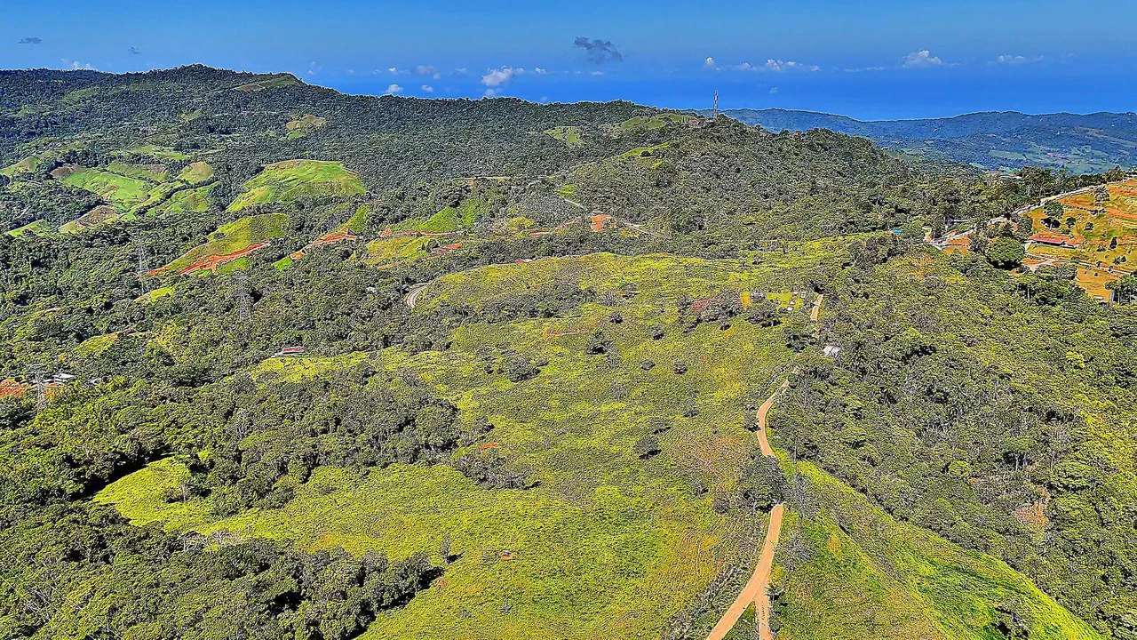 Mountain Agricultural Land For Sale in Alto San Juan - Gallery image 8