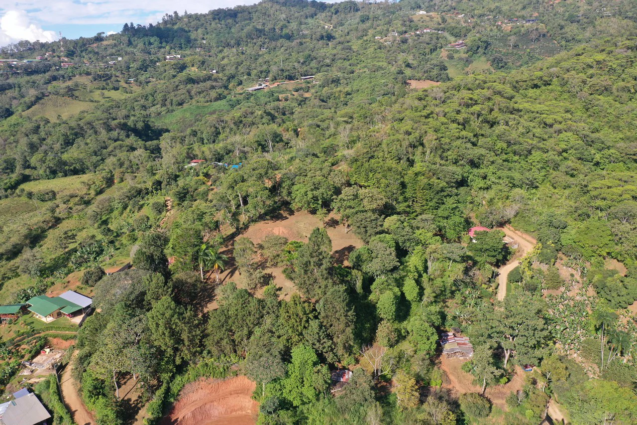 Stunning 2.4 Acre Property in Quebradas San Isidro del General - Gallery image 11