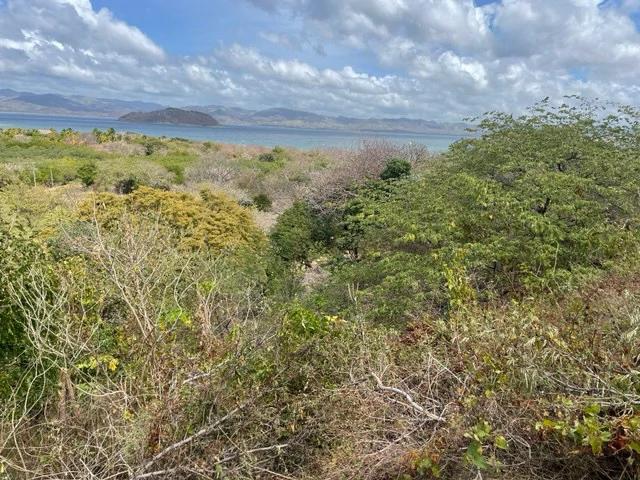 Countryside and Near the Coast Home Construction Site For Sale in El Jobo - Gallery image 2