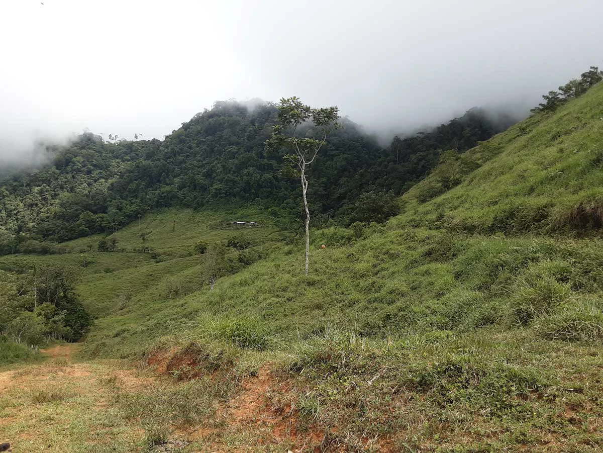 Finca Tesoro Escondido - The Jewel of Uvita - Gallery image 40