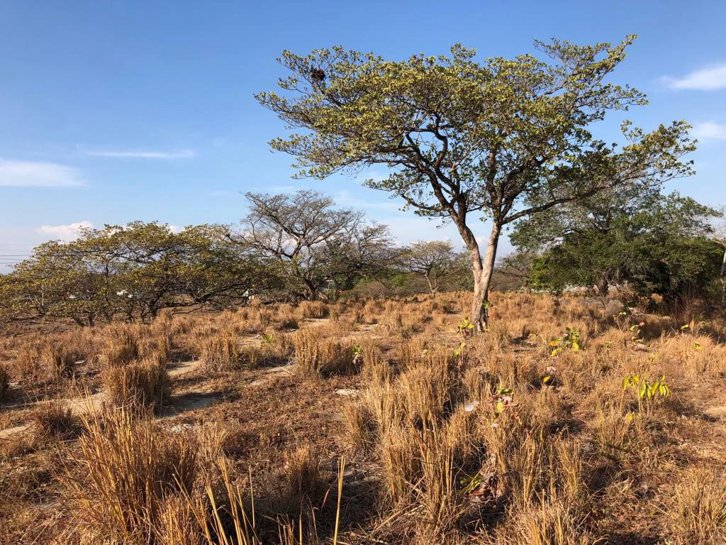 Airport Property - in front of route 21, Liberia - Gallery image 16