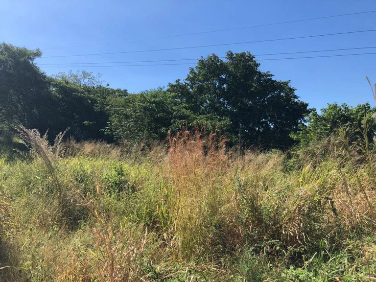 HIGHWAY TO HEAVEN: Commercial potential ! Large property on the Panamerican Highway. - Gallery image 10