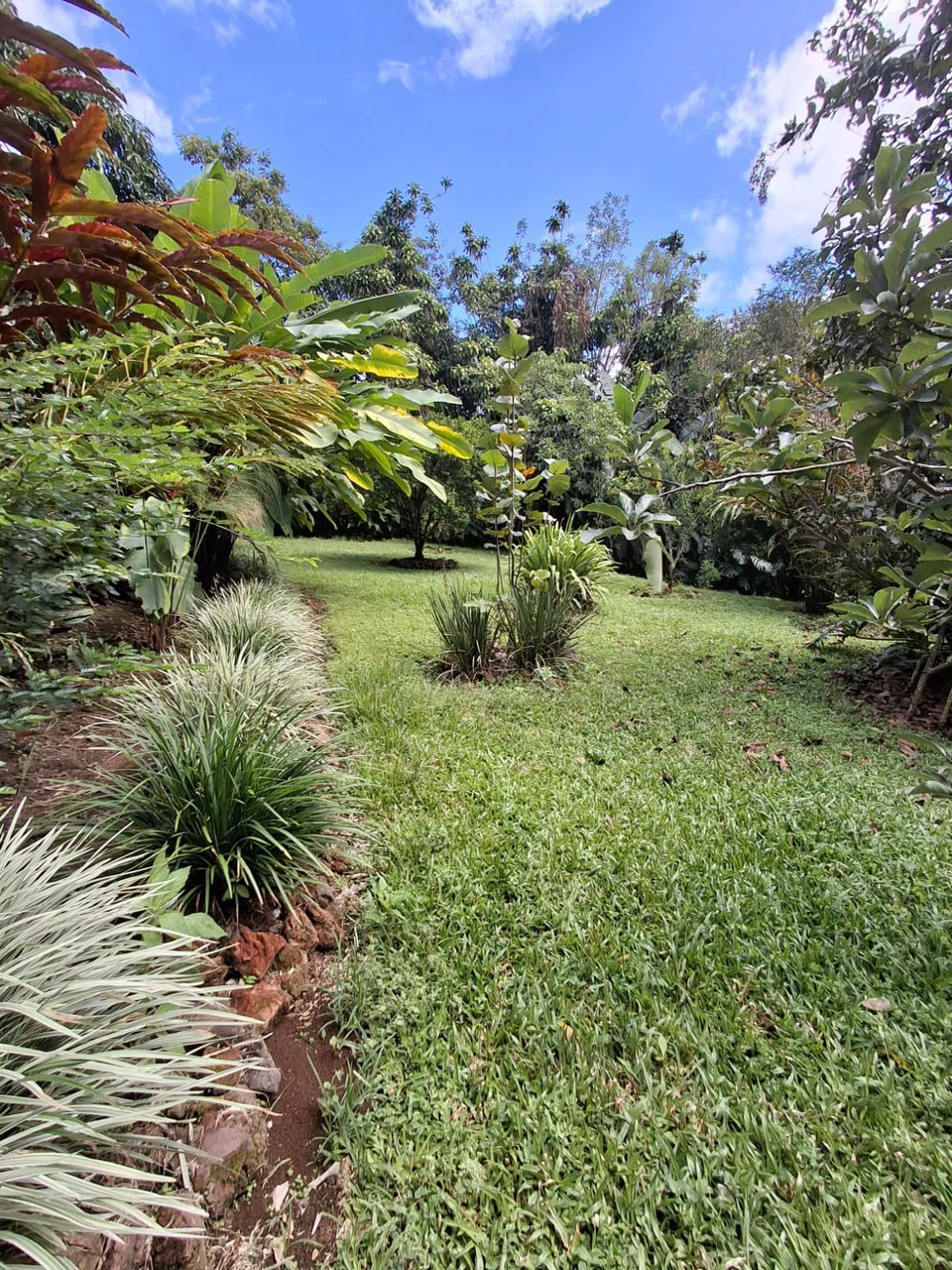 Casa Pura Vida!: Unique Multi-Home property and pool with nature backdrop - Gallery image 8
