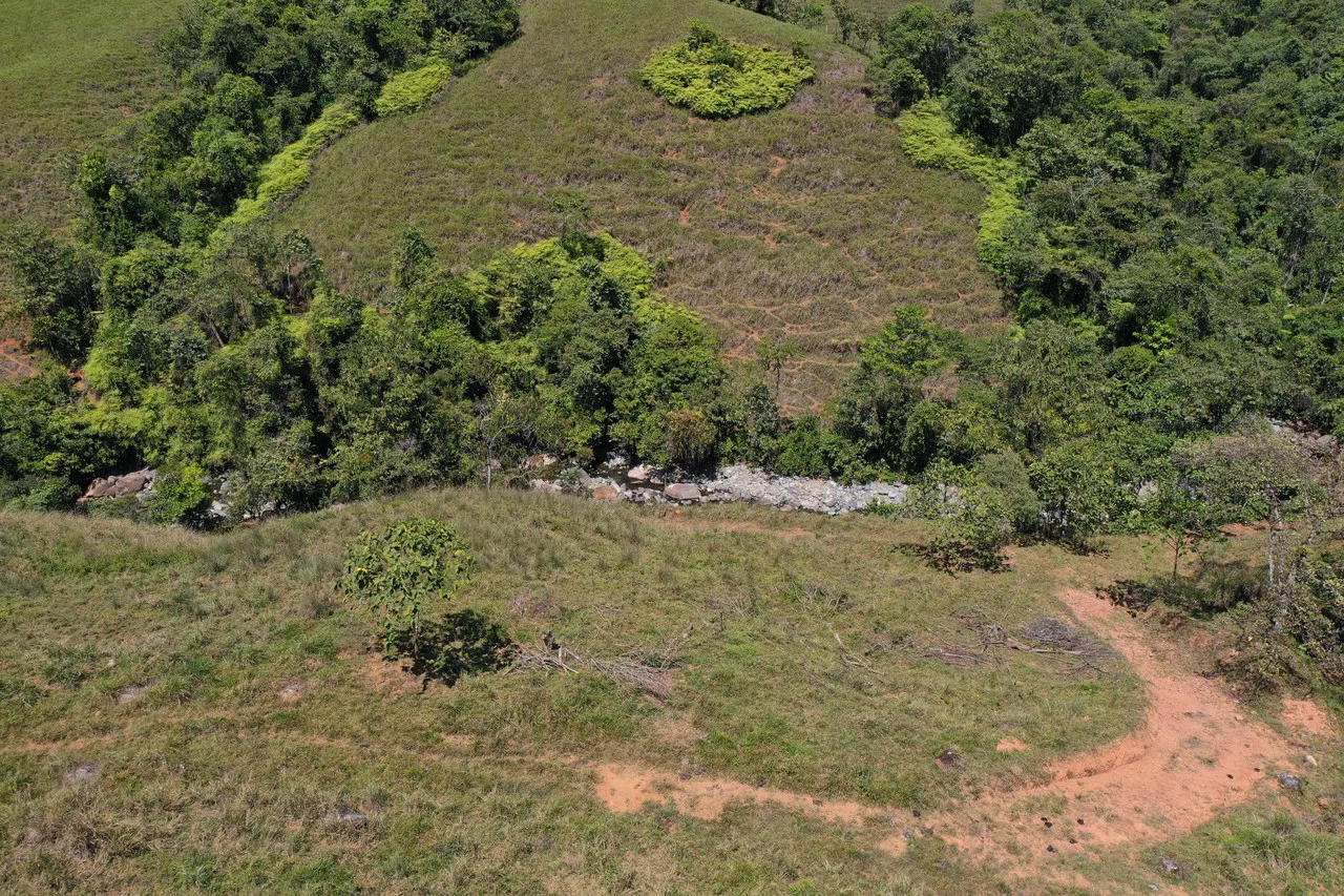 12.5 Acre Riverfront Mountain Estate with Valley and Chirripó Views - Gallery image 11
