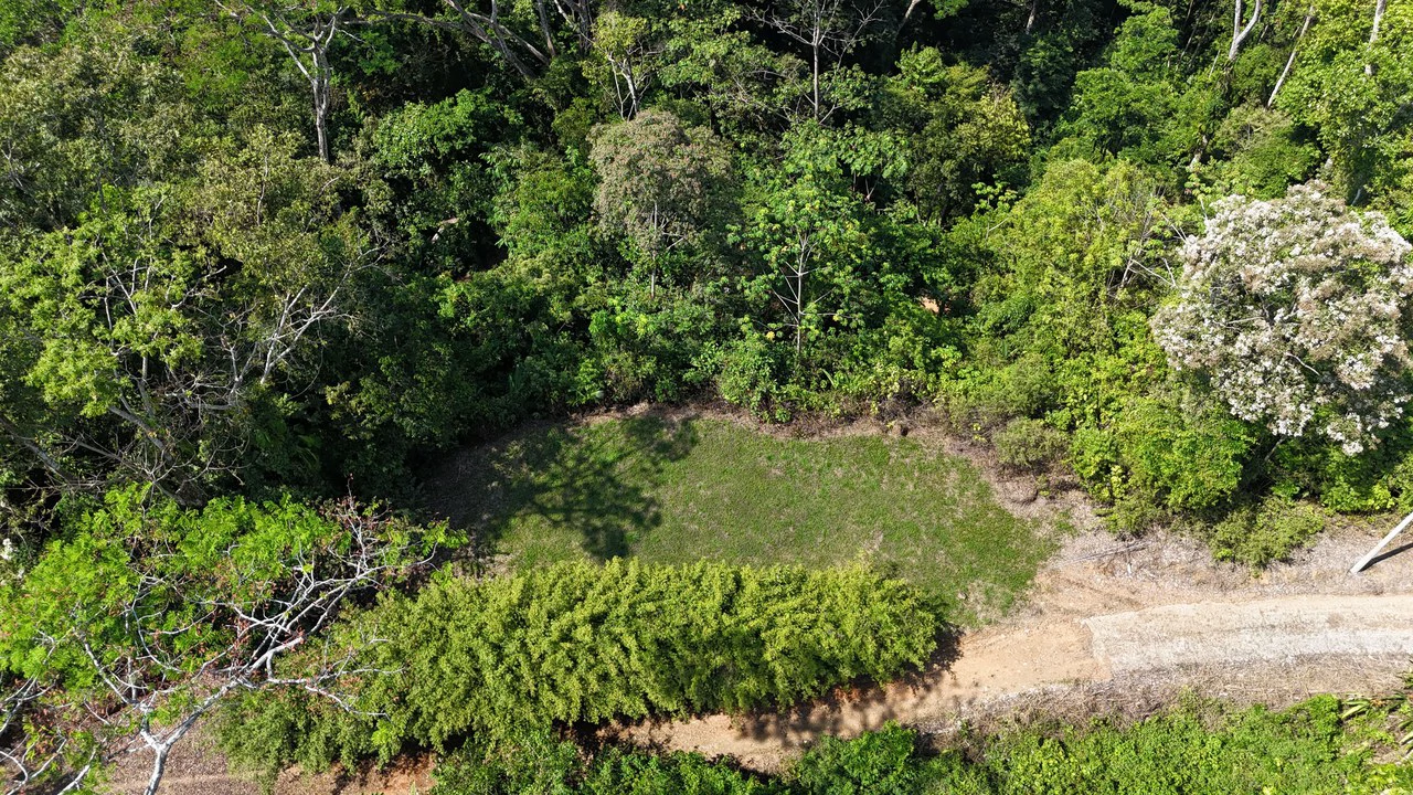 Exceptional Development Opportunity 71 acre Riverfront & Ocean View in Hatillo - Gallery image 11