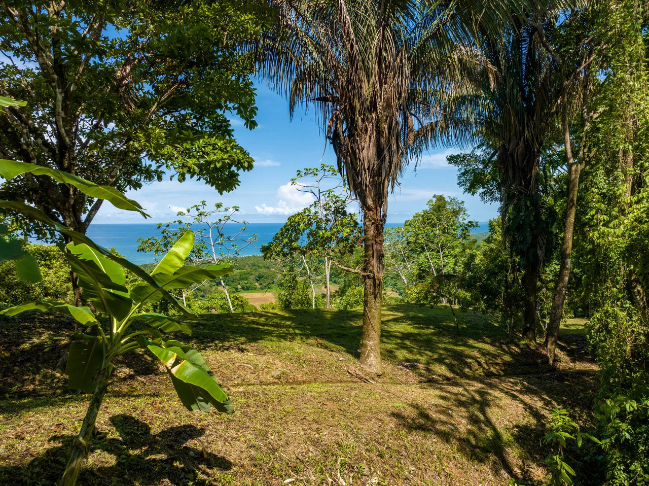 Front Row Ocean View Property with a Private Waterfall in Dominical - Gallery image 31