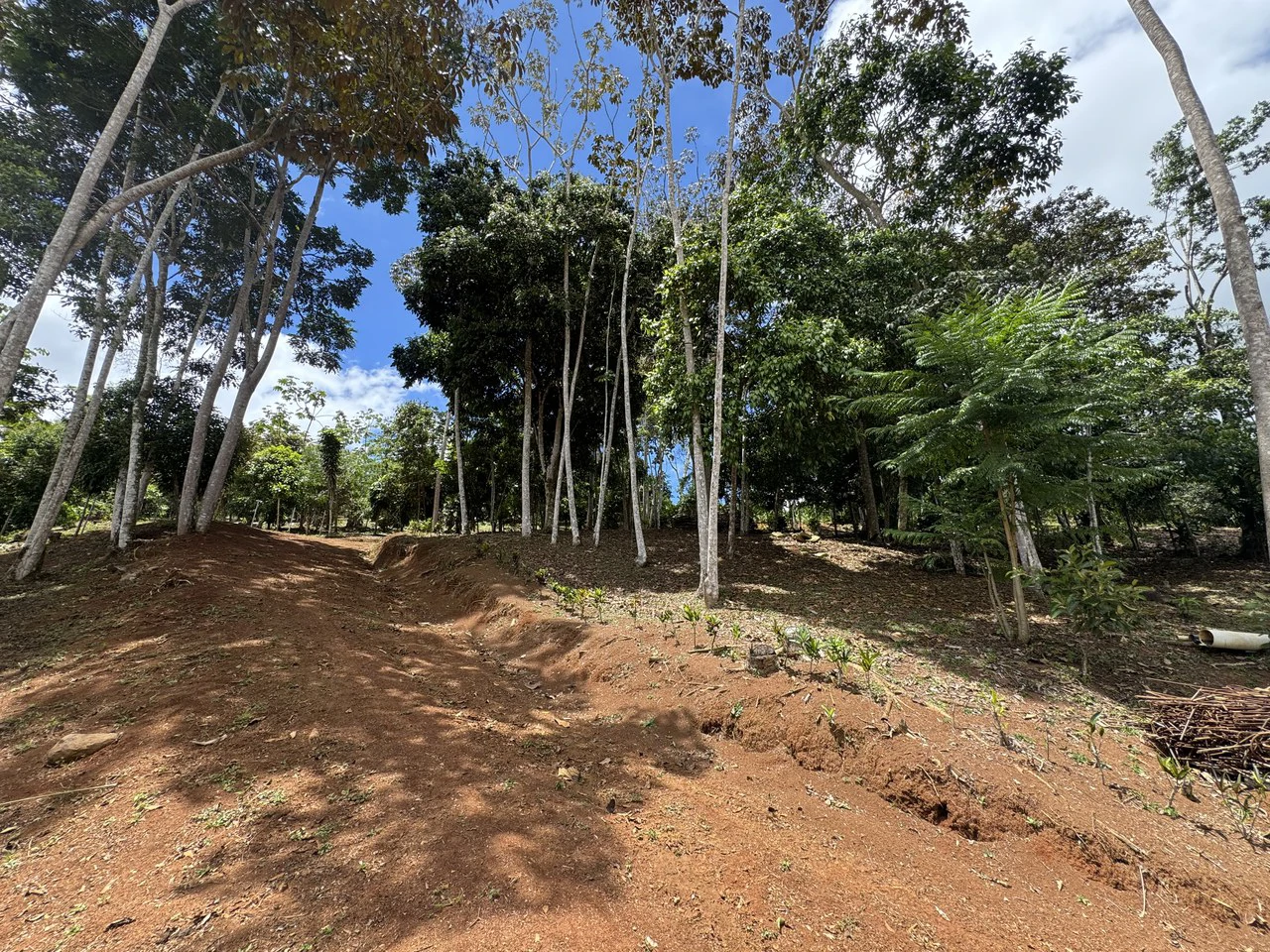 Prime 40,000 Sq. Ft. Building Lot with Mountain & Valley Views in Pérez Zeledón - Gallery image 10