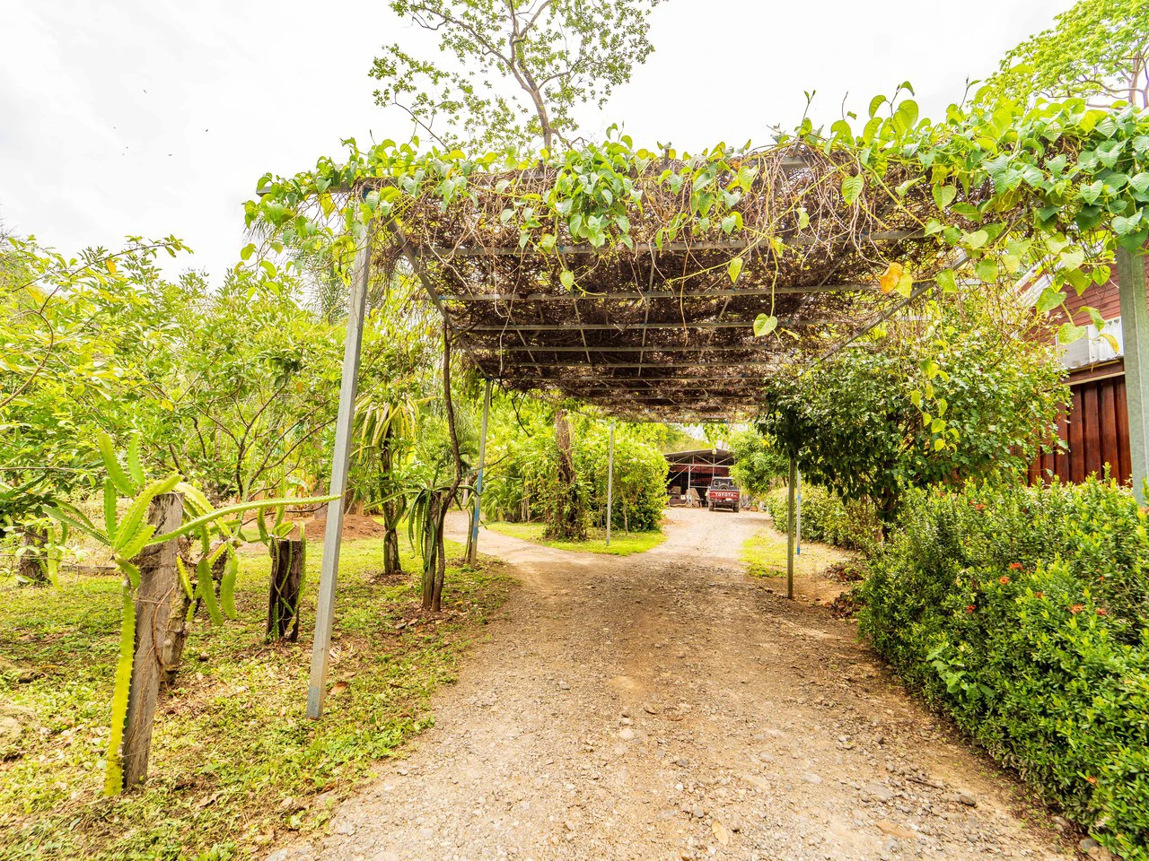 Organic Permaculture Farm and 2BR Single Family Home: Countryside House For Sale in Sámara - Gallery image 5