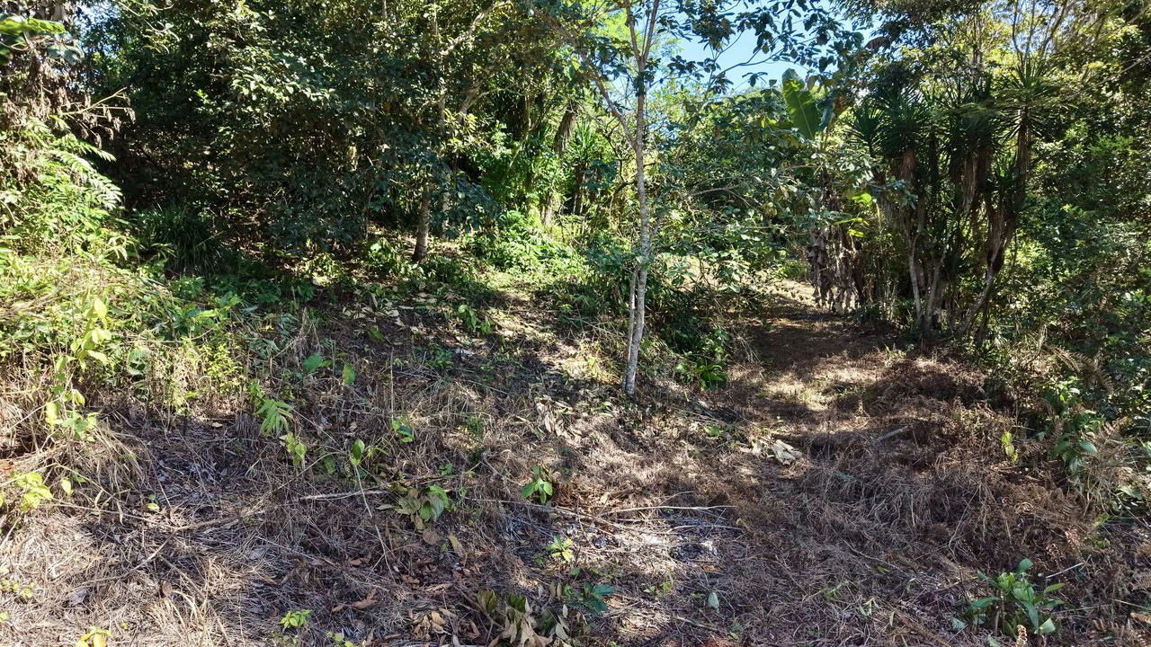 Home Construction Site For Sale in Pavones - Gallery image 33
