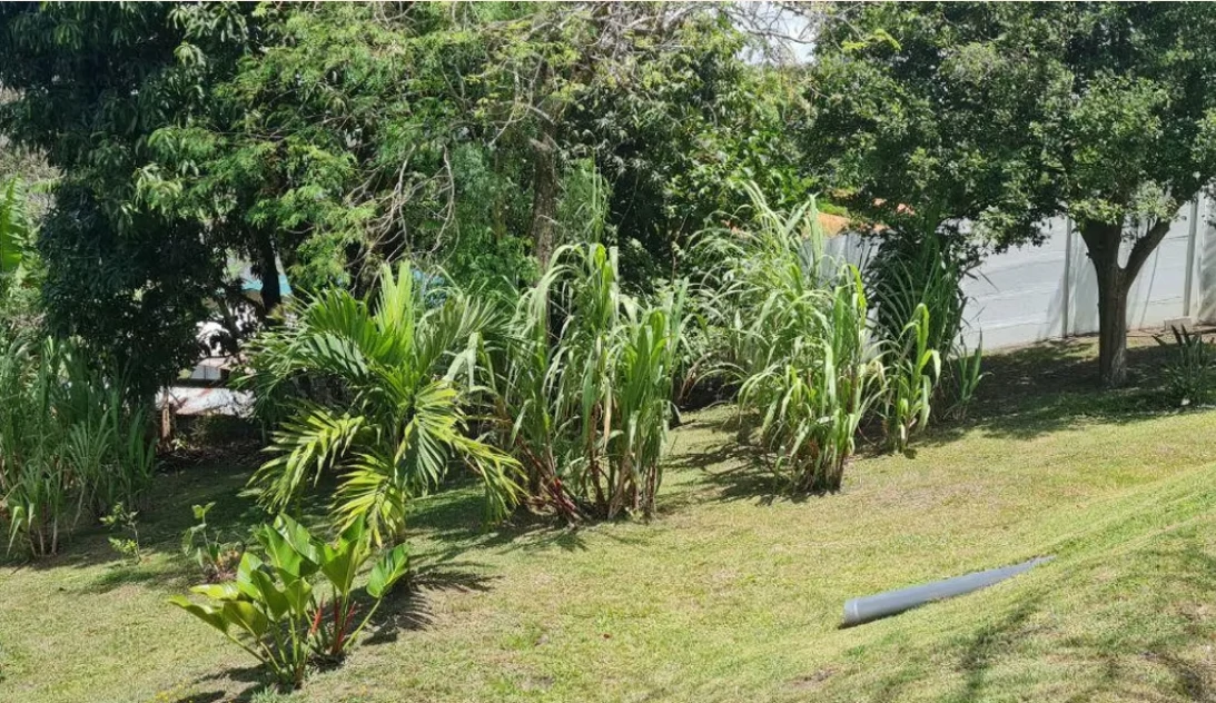 VILLA VIDA TRANQUILA - Modern Bright Home on Lake Front Property-DRASTIC REDUCTION FROM $585,000 - photo 28