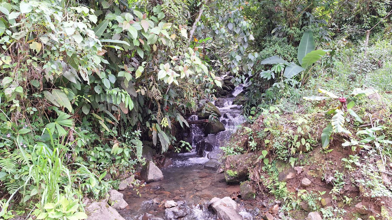 Propiedad en cedral: Mountain Home Construction Site For Sale in Cajón - Gallery image 10