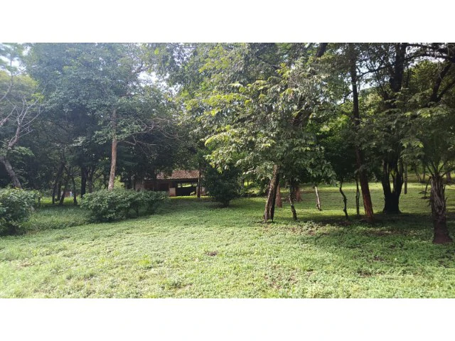 Tamarindo horse farm with two houses, a barn in the best natural setting - Gallery image 5
