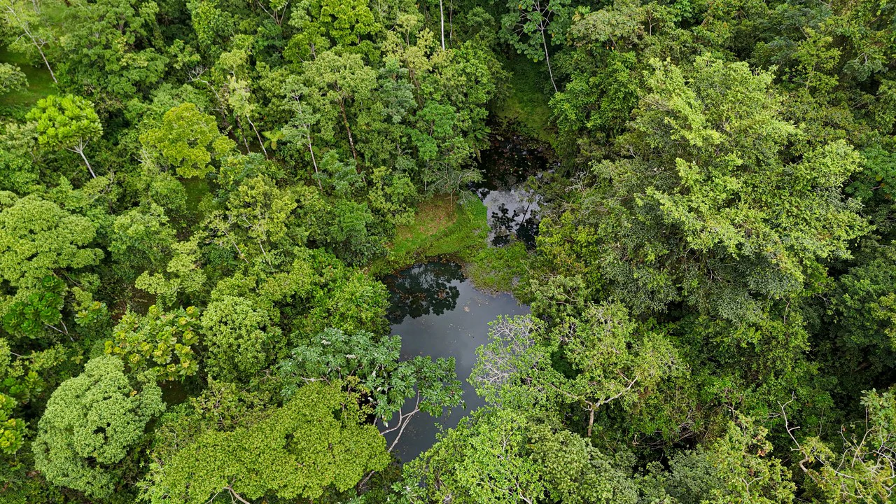 Finca Macadamia: 154-acre Rainforest Paradise with two Houses and Trails! - Gallery image 18