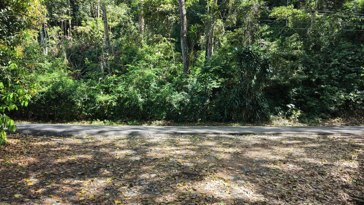 Countryside Home Construction Site For Sale in Guadalupe - photo 2