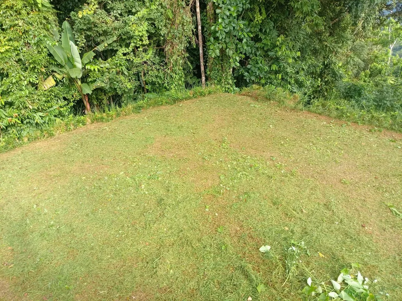 0.46 ACRES – Ocean View Land Just 4 Minutes Away From El Pavon Waterfall, Legal Water And Electricity Available & Ready To Build Site!!!: Mountain and Countryside Home Construction Site For Sale in Tr - Gallery image 10