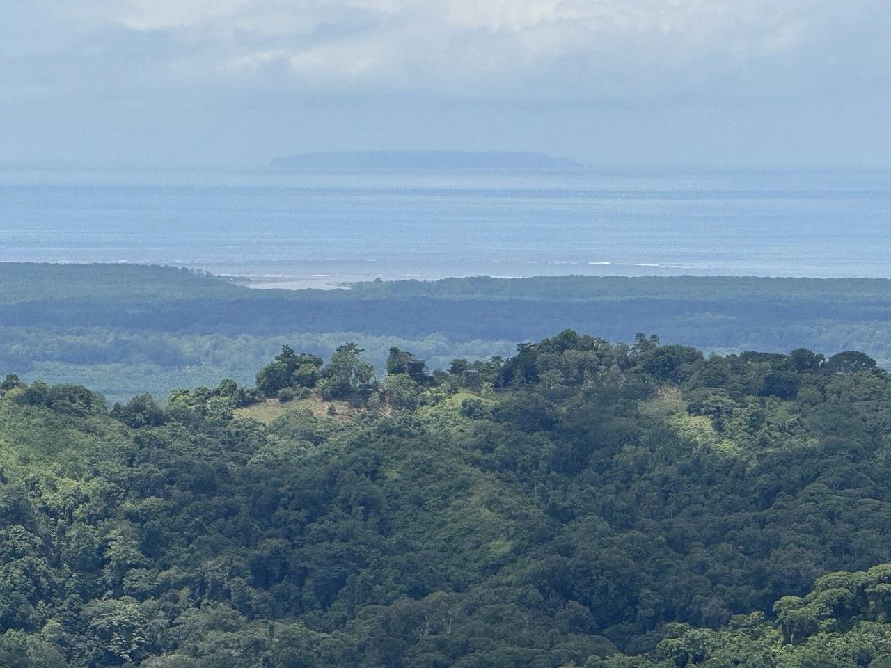 137 Acre Ocean View Farm with Riverfront in Southern Costa Rica - Gallery image 16