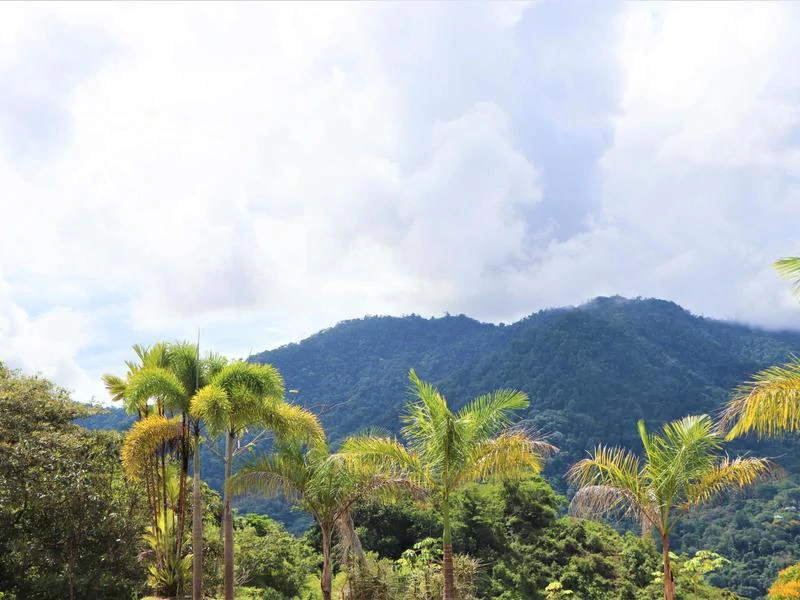 Captivating 3.15-Acre Property: Huge Pricedrop! Firesale Oceanview Lot in Tres Rios - Gallery image 55