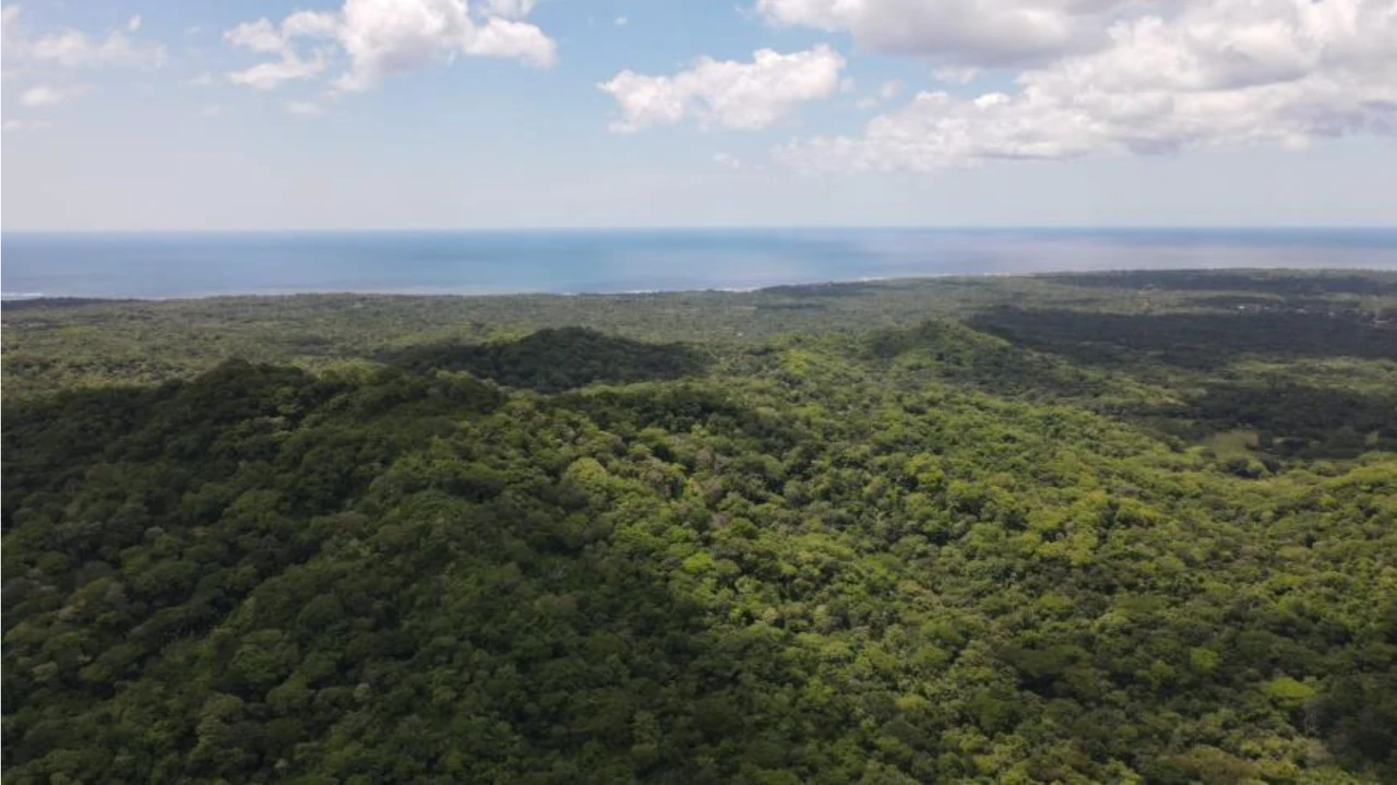 First Time Listed! Playa Avellanas Costa Rica Ocean View Development Land for Sale. Water and Land letter in Place. A Developer Dream!