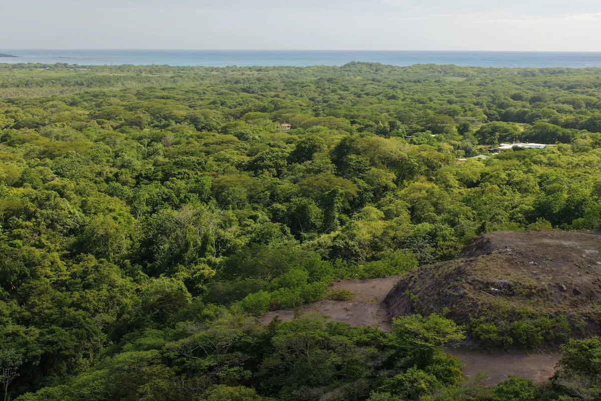 2,045m2 Ocean View Mixed-Use Lot In Playa Grande - photo 5