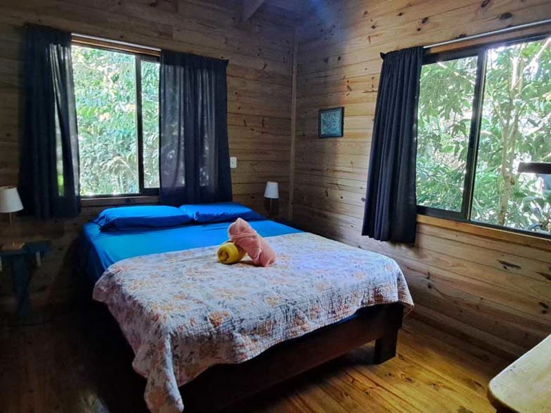 8 Cabinas with Swimming Pool on Lush Jungle Property in Uvita - Gallery image 13