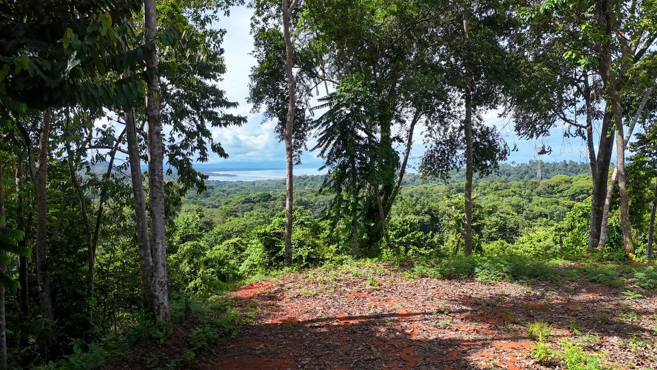 Spectacular Ocean view on 7.7 acres: Mountain Home Construction Site For Sale in Bahía Ballena - Gallery image 5