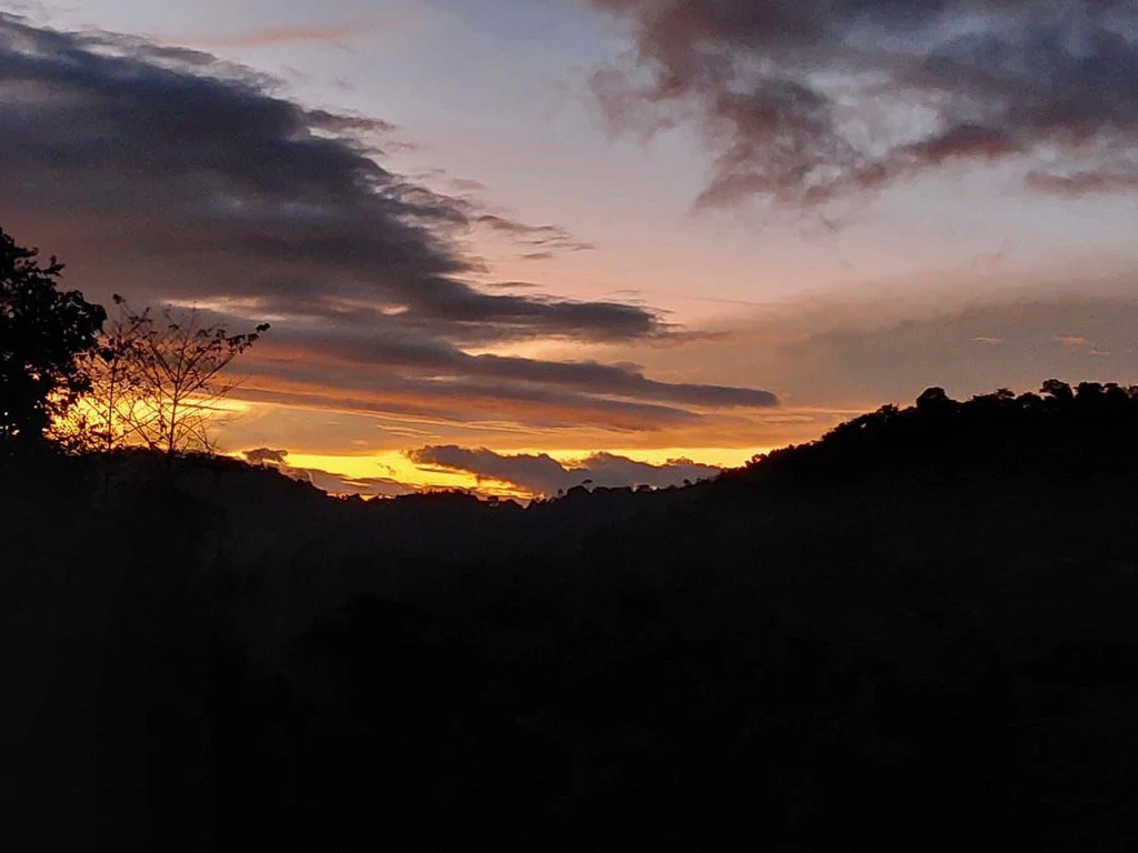 SECLUDED PARADISE WITH STUNNING VIEWS, WATERFALLS & ABUNDANT WILDLIFE - Gallery image 23