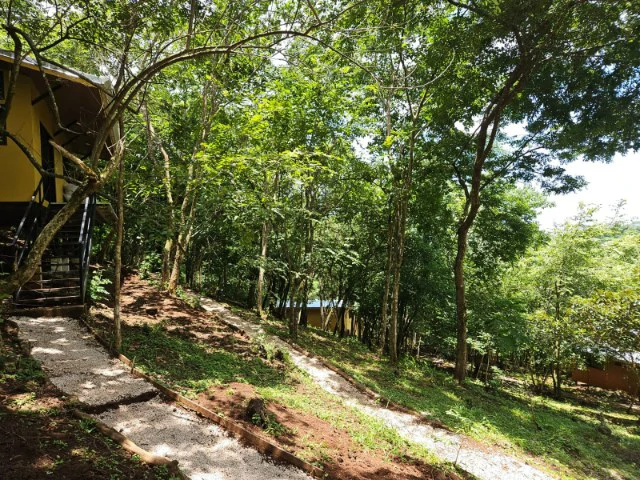 Nosara's Brand New Top Villas as a Business Opportunity in the dense forest of catchment area, 7 villas for sale in Costa Rica's Healthy Blue Zone - Gallery image 21