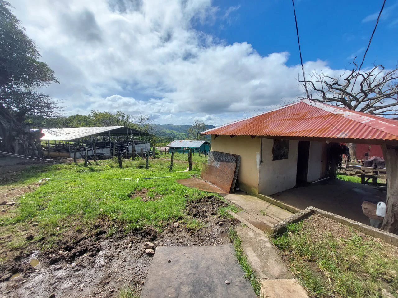 HACIENDA LOMBARDIA : Fully Operating Livestock Business - Gallery image 16