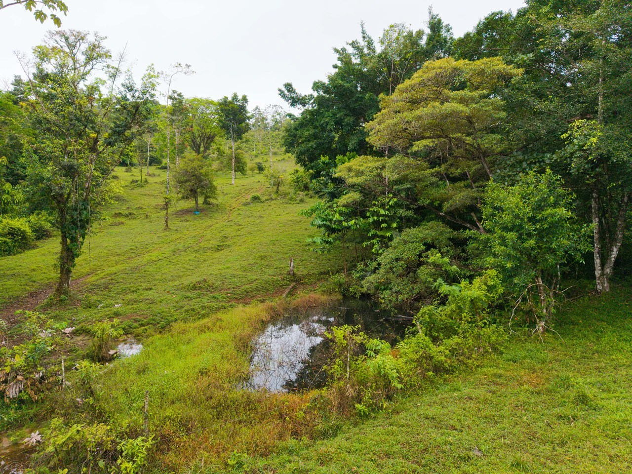 Finca Las Zompopas-Río Celeste: 113-Acre Biodiverse Property in Bijagua, Ideal for Eco-Tourism, Private Retreats, or Sustainable Development