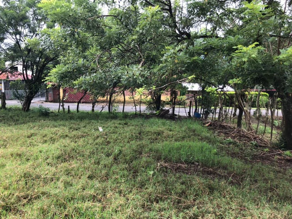 Commercial property in Guácima, Alajuela - Gallery image 5