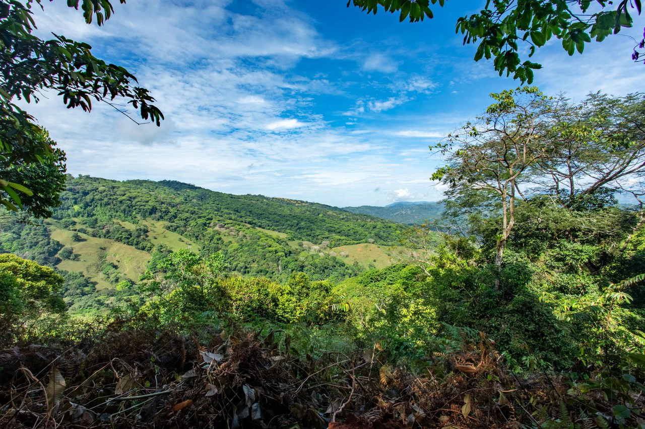2.9 Acre Paradise with Diamante Valley Views Dominical - Gallery image 4