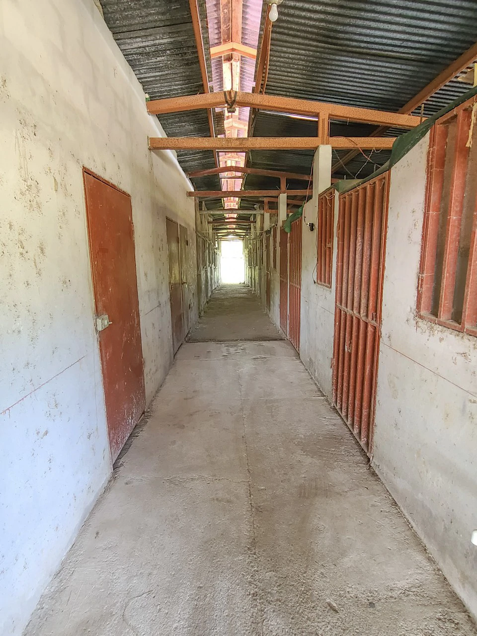 Serene Jungle Farm in Limon Province - Gallery image 15