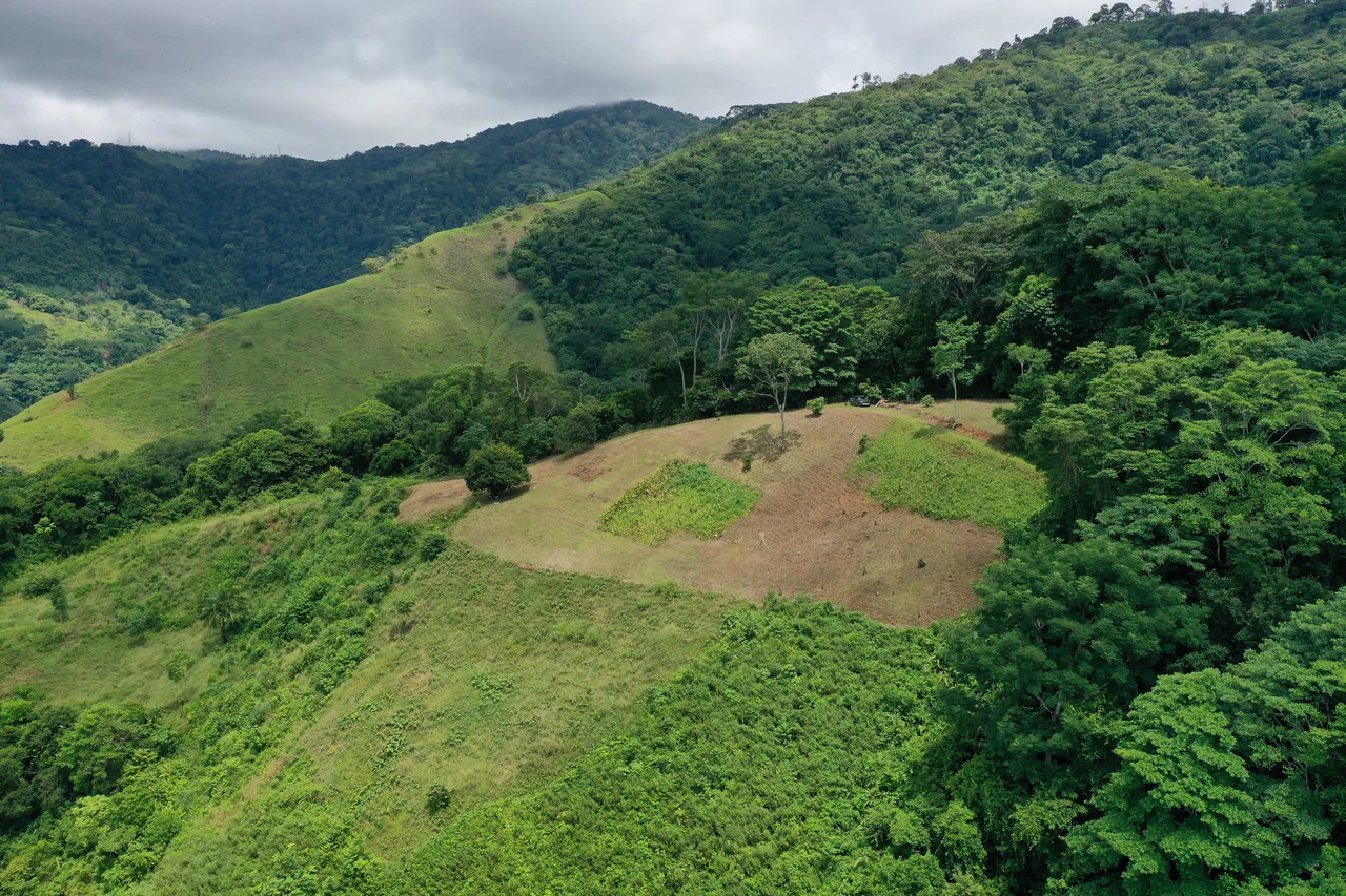 137 Acre Ocean View Farm with Riverfront in Southern Costa Rica - Gallery image 9