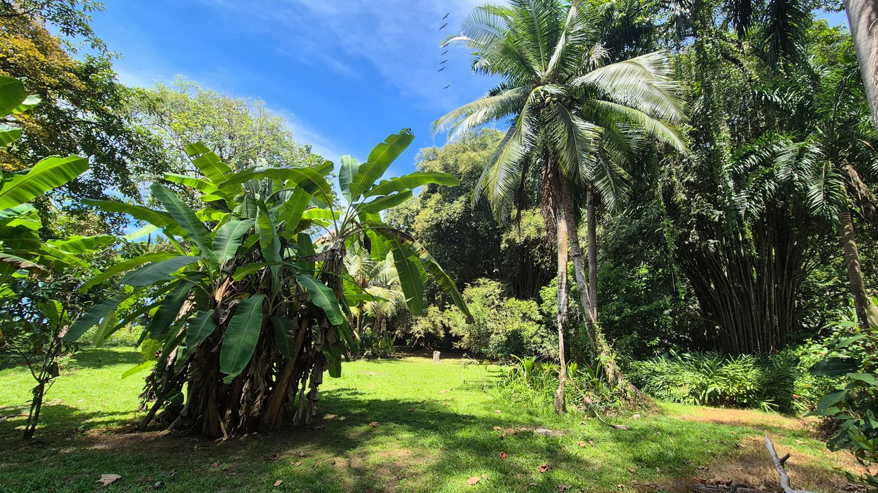 Dream Beachfront Property at Ballena Beach in Uvita, Costa Rica - Gallery image 5