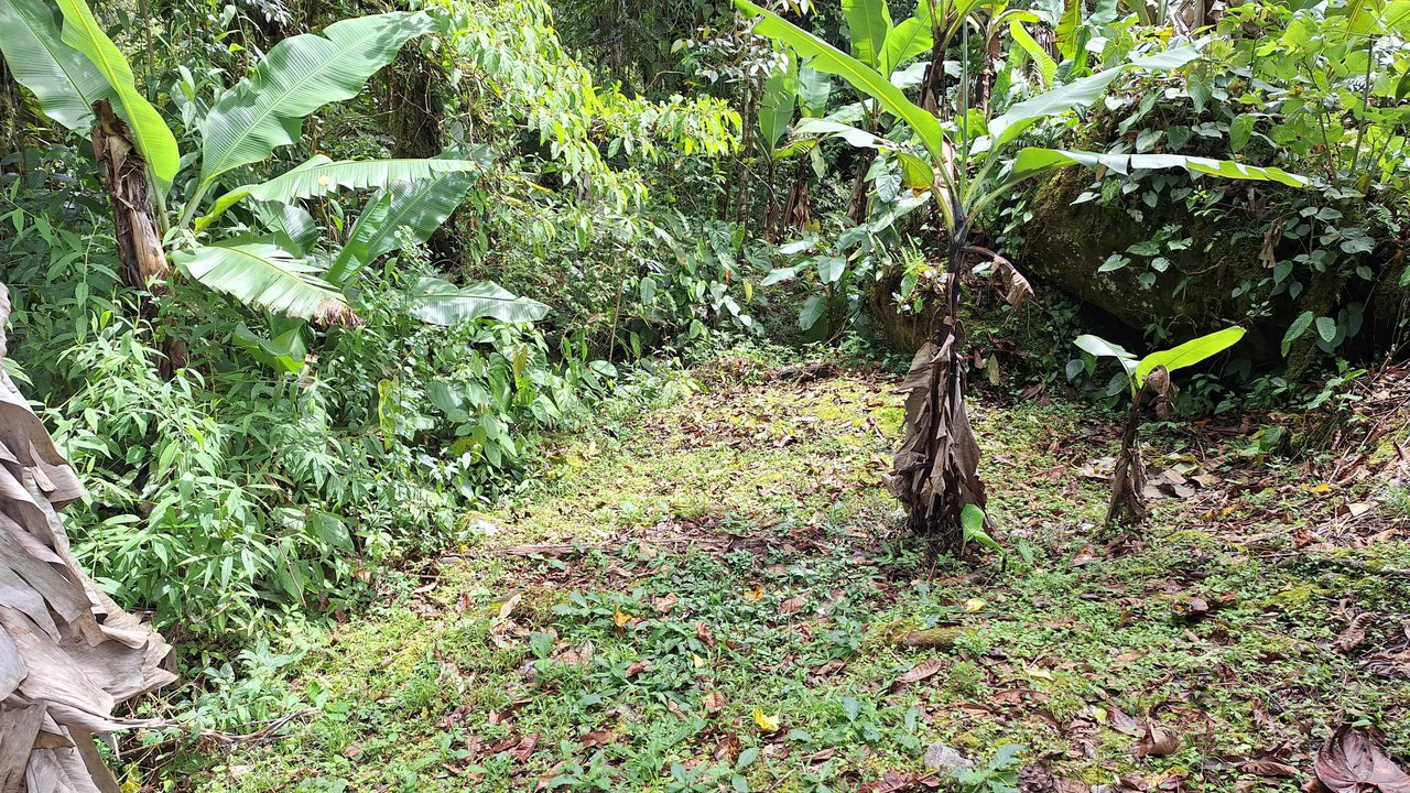 Propiedad en cedral: Mountain Home Construction Site For Sale in Cajón - Gallery image 11