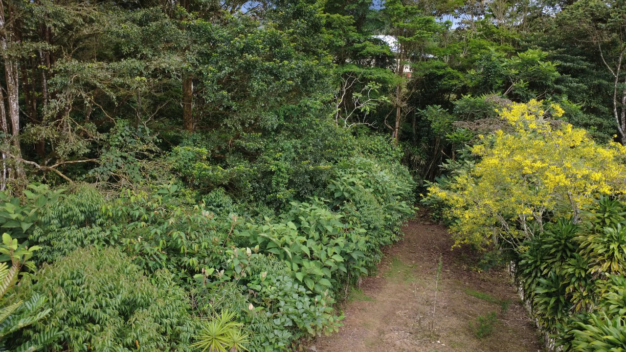 Home Construction Site For Sale in San Francisco - Gallery image 3