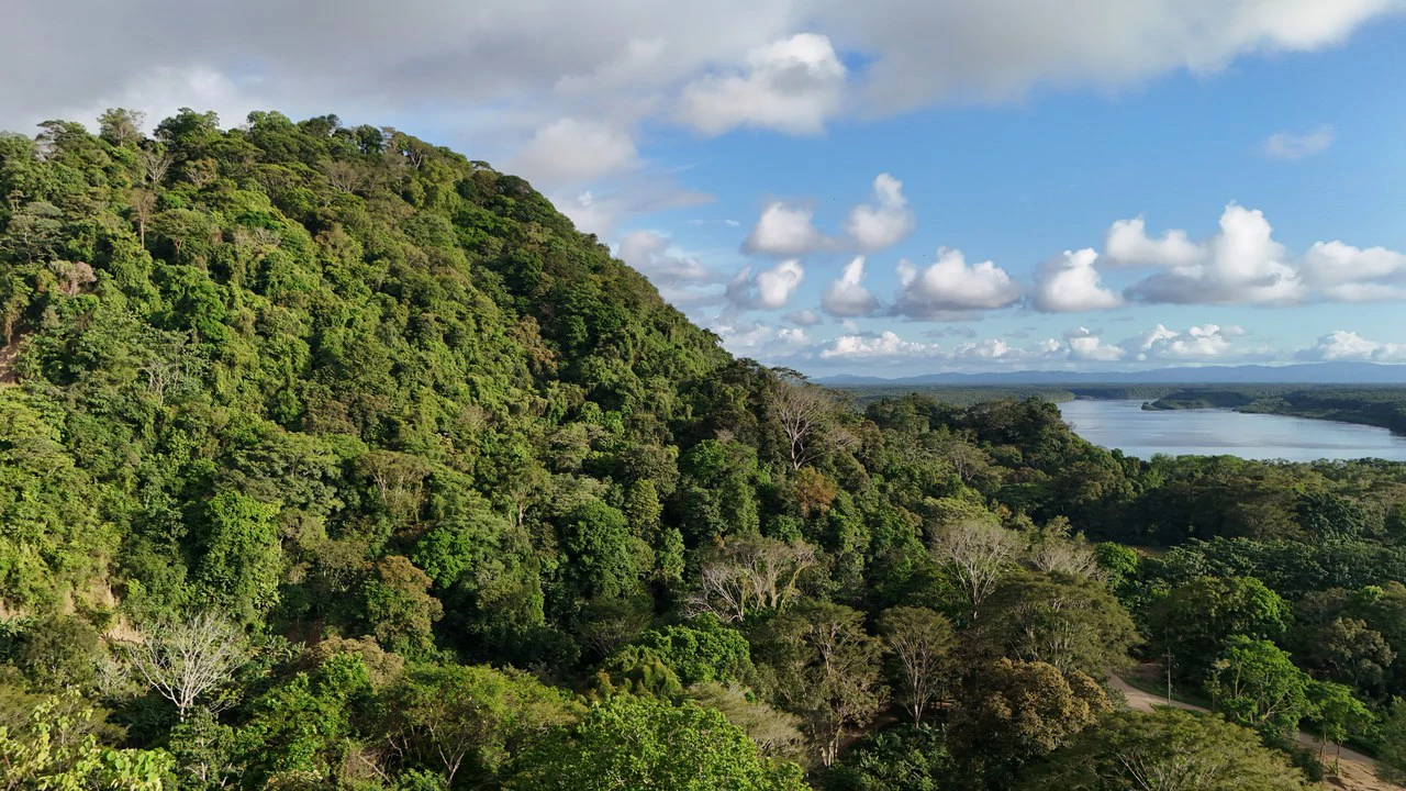 Stunning Ocean and Terraba River view property in Ojochal - Gallery image 11