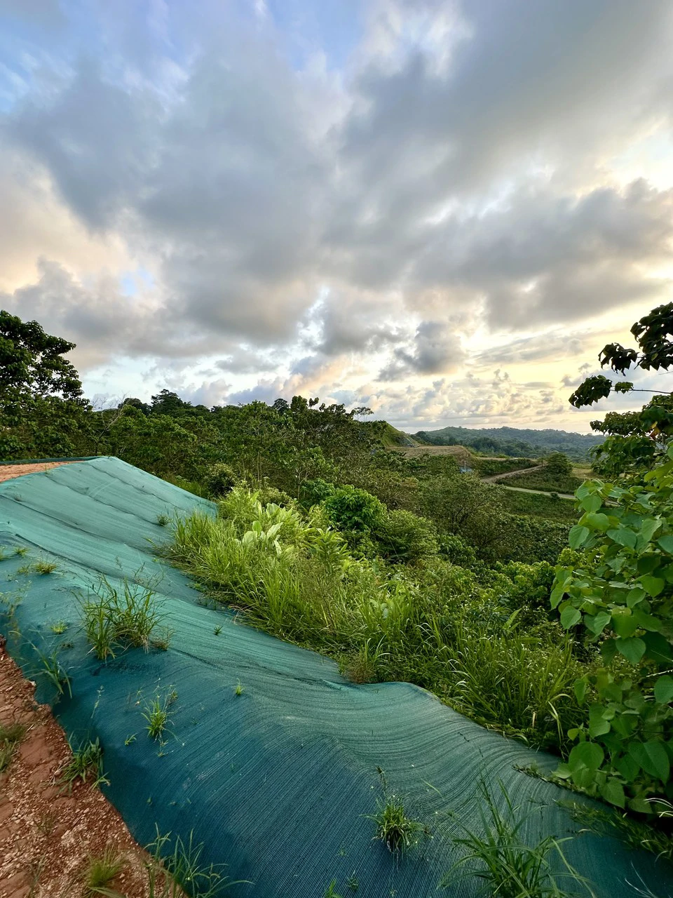 Price Reduced! Panoramic Ocean View Lot in Prestigious Phase 11 Ojochal – 2.77 Acres with Luxury 3D Home Design Included - Gallery image 30