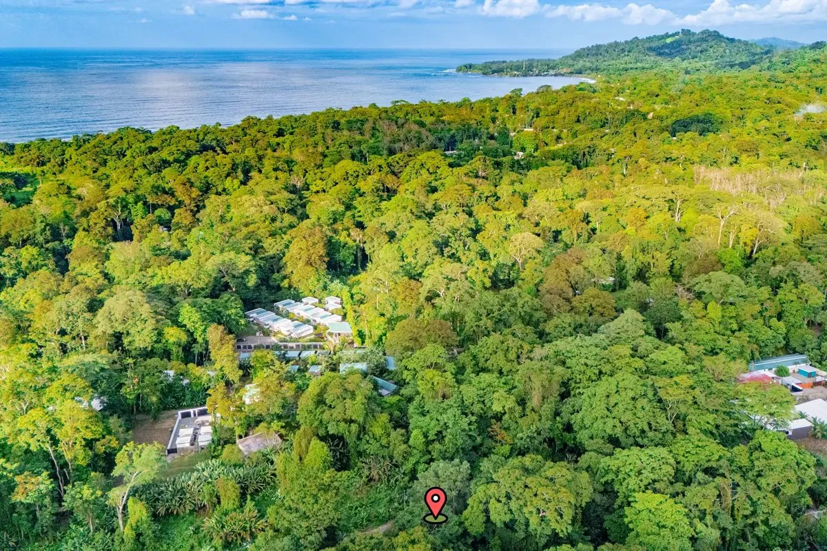 ID 1157: 1 Bd/1 Ba Home on 1,250 sqm Near Puerto Viejo, Costa Rica - photo 3