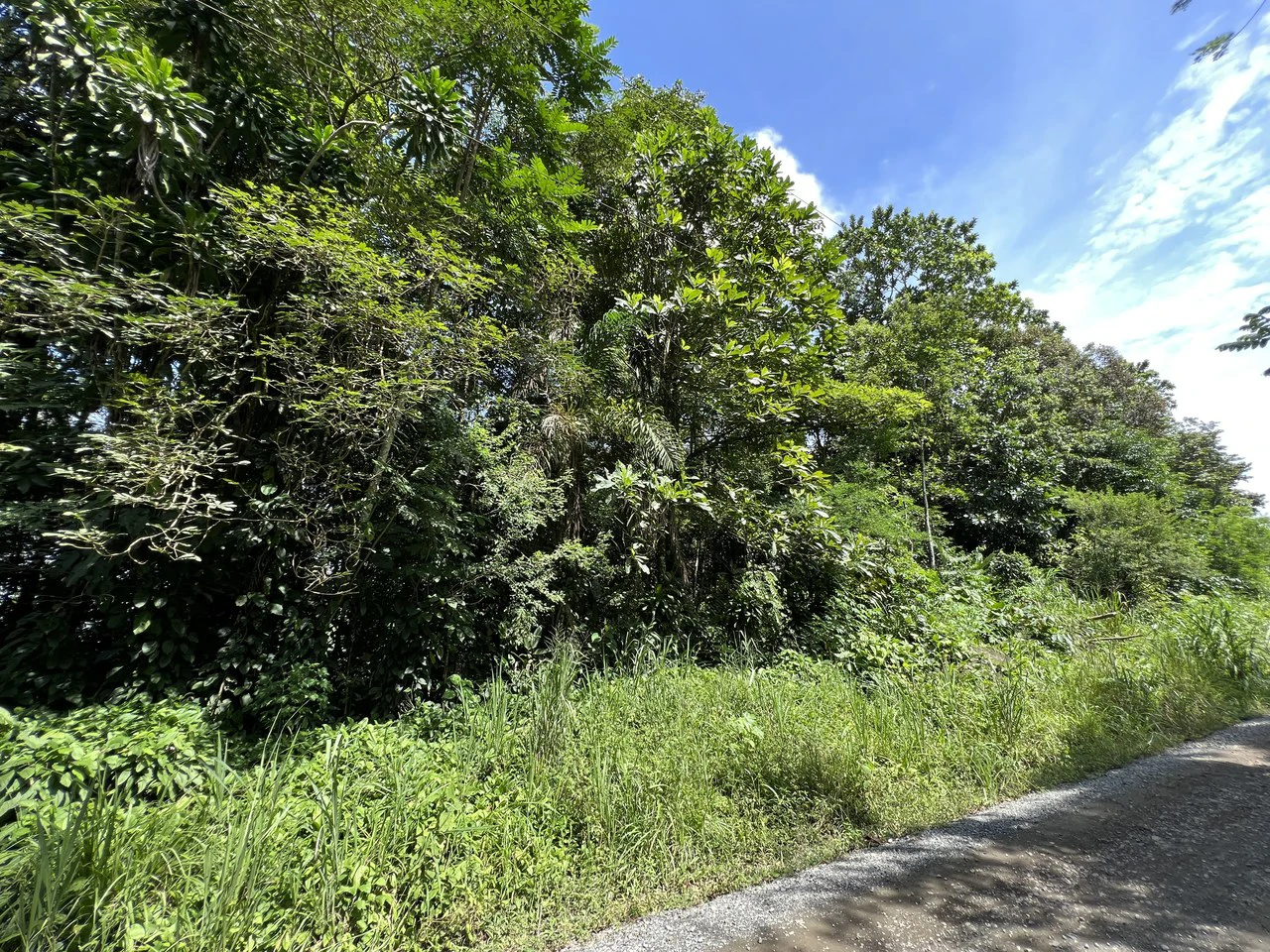 Countryside Home Construction Site For Sale in Convento - photo 7