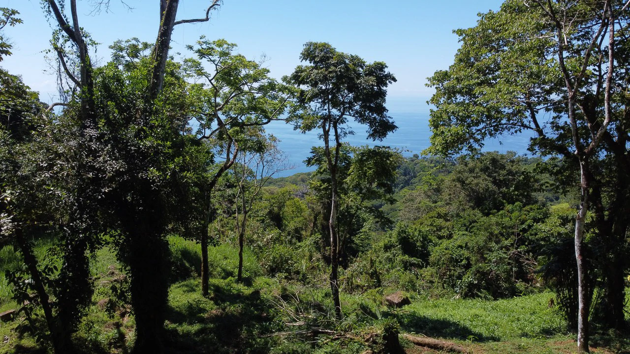 Exclusive 5.80 acres Ocean View Estate Lot in Costa Verde Estates – Escaleras - Gallery image 16