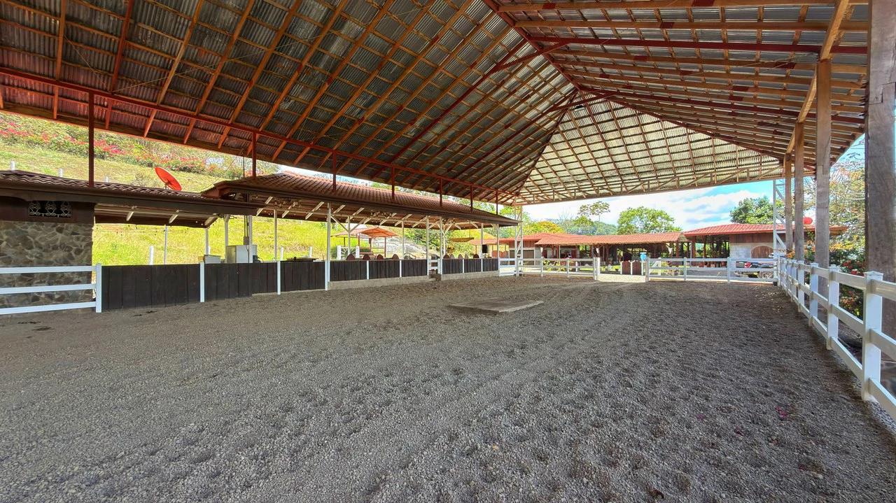 Agricultural Land For Sale in Daniel Flores - Gallery image 14