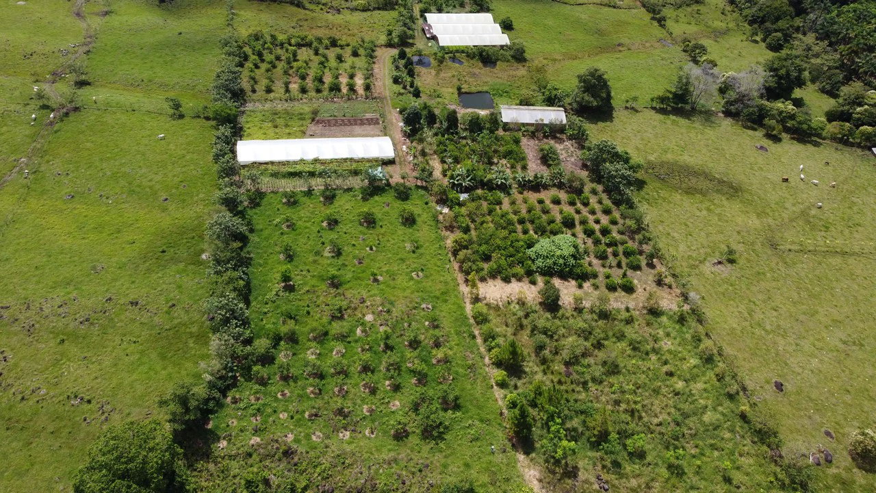 Se vende lote agrícola, en Cajón, Perez Zeledon.: Mountain Home Construction Site For Sale in Cajón - Gallery image 22