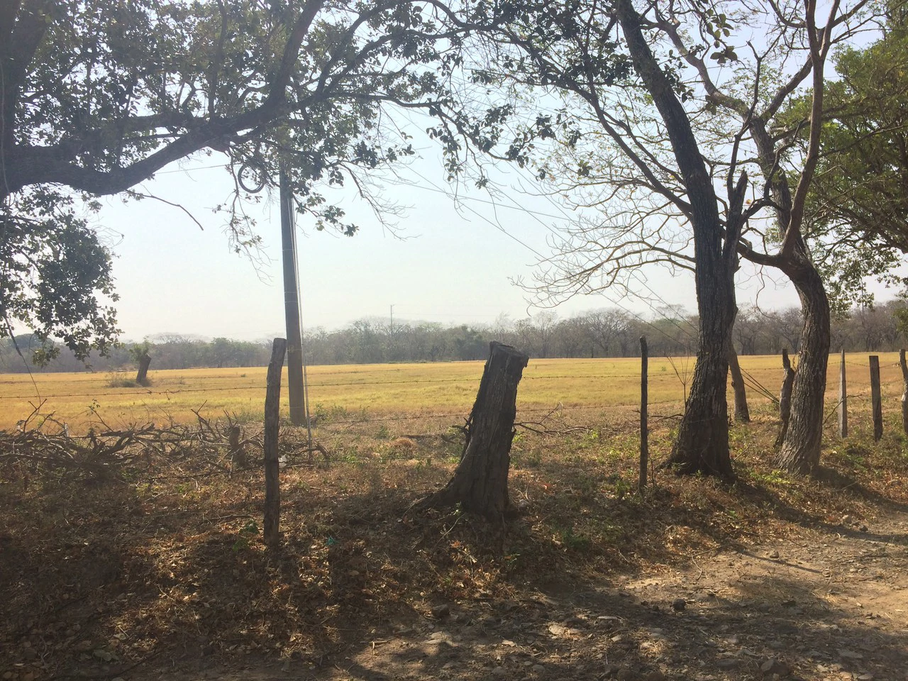 Lotes desde los 5 mil metros en Liberia Centro: Development Parcel For Sale in Liberia - Gallery image 6